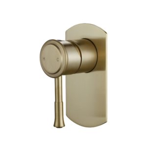 Modern Montpellier Shower Mixer - Brushed Brass